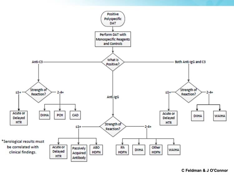 Blood Bank Procedure Flow Chart