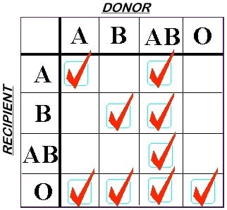 Abo Incompatibility Chart