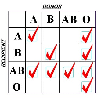 ABO Rules for RBCs