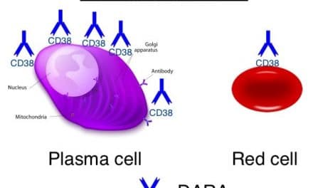 010: Daratumumab Effect with Rick Kaufman