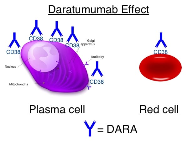 Daratumumab effect