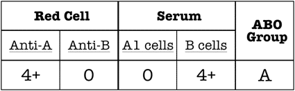 ABO interpretation