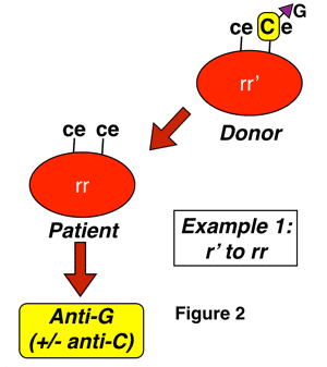 G formation 1