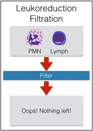 Don't leukoreduce PMNs