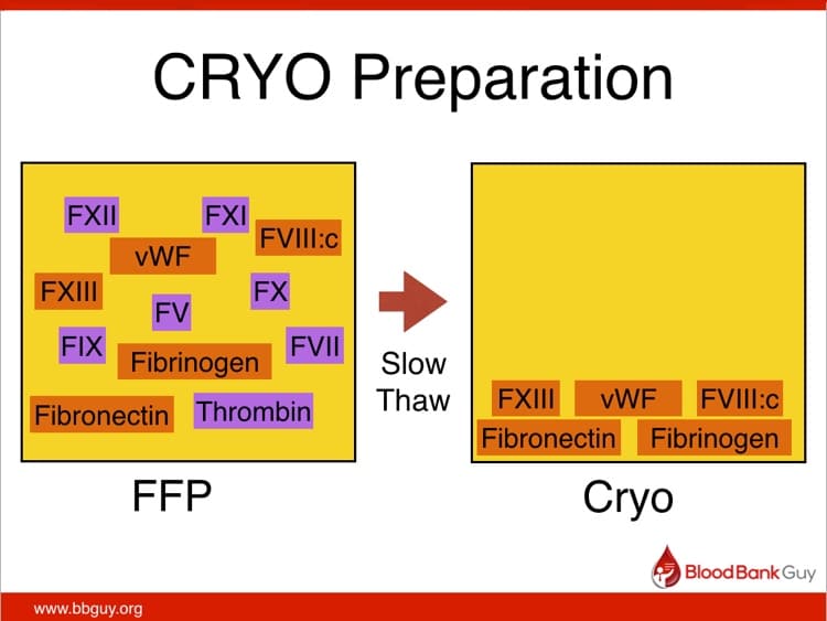 019 Cryoprecipitate With Joe Chaffin Blood Bank Guy