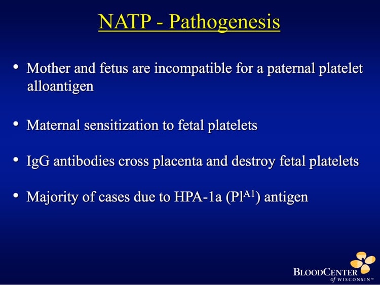 Curtis Slide 3 - NAIT Pathogenesis