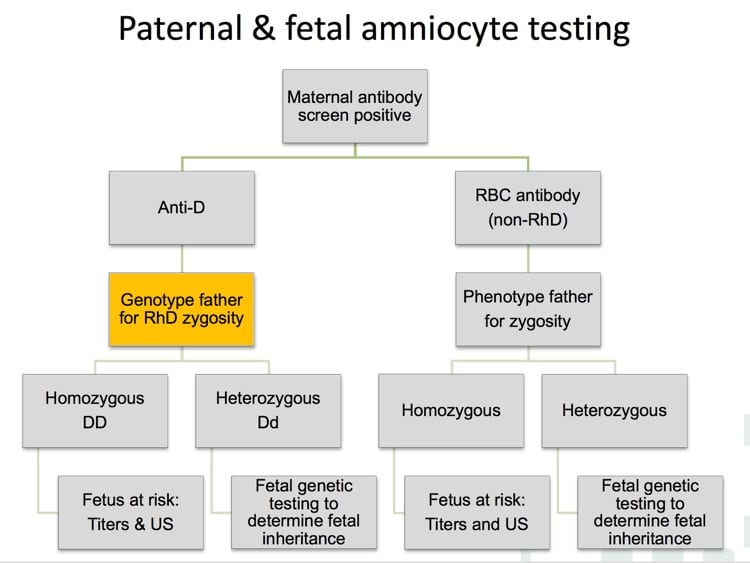 Delaney Slide 16 - Testing options with positive maternal anti-D