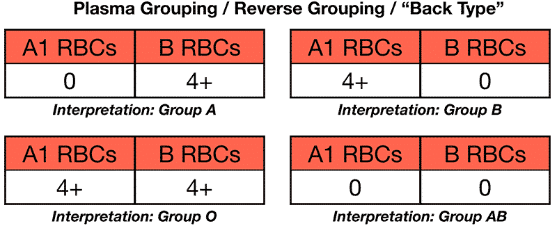 reverse blood grouping