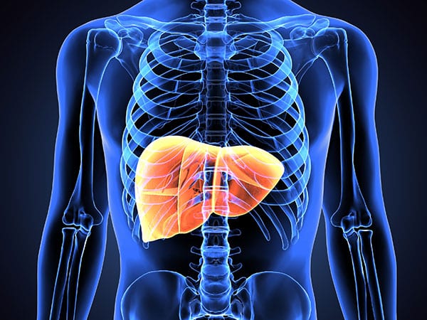 X-ray image featuring liver