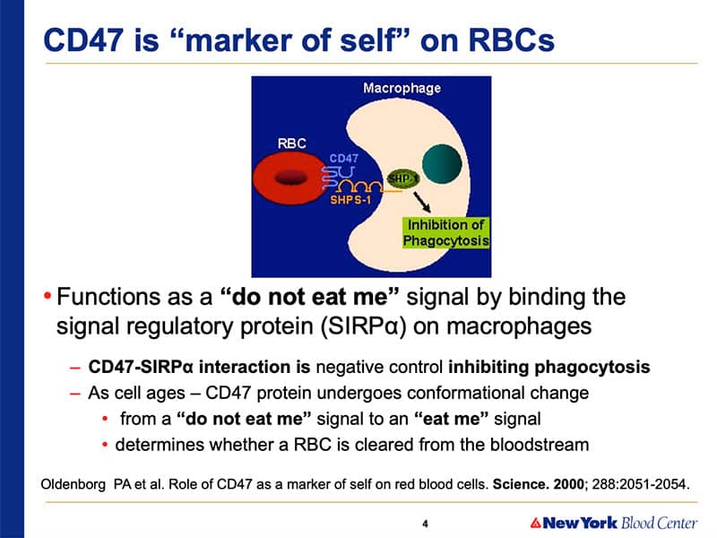 Slide 2 - CD47 carries the "do not eat me" signal
