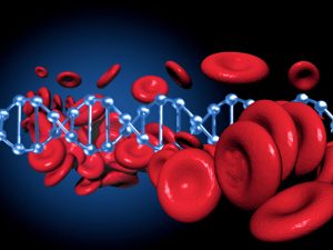 090CE Featured RHD genotyping