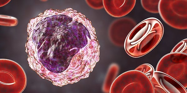 093CE monocyte mononuclear assay