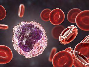 monocyte mononuclear assay